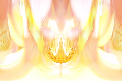 <#date#>